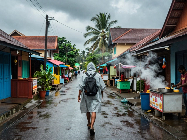 Which Months Is Rainy Season in India? A Budget Traveler’s Guide